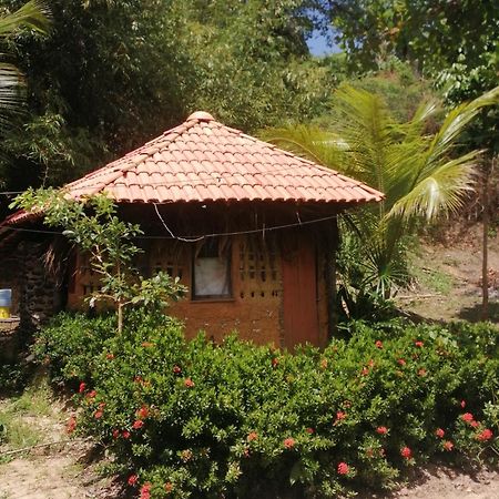 Ecopousada Casa Do Carimbo Fortalezinha Альгодоаль Экстерьер фото