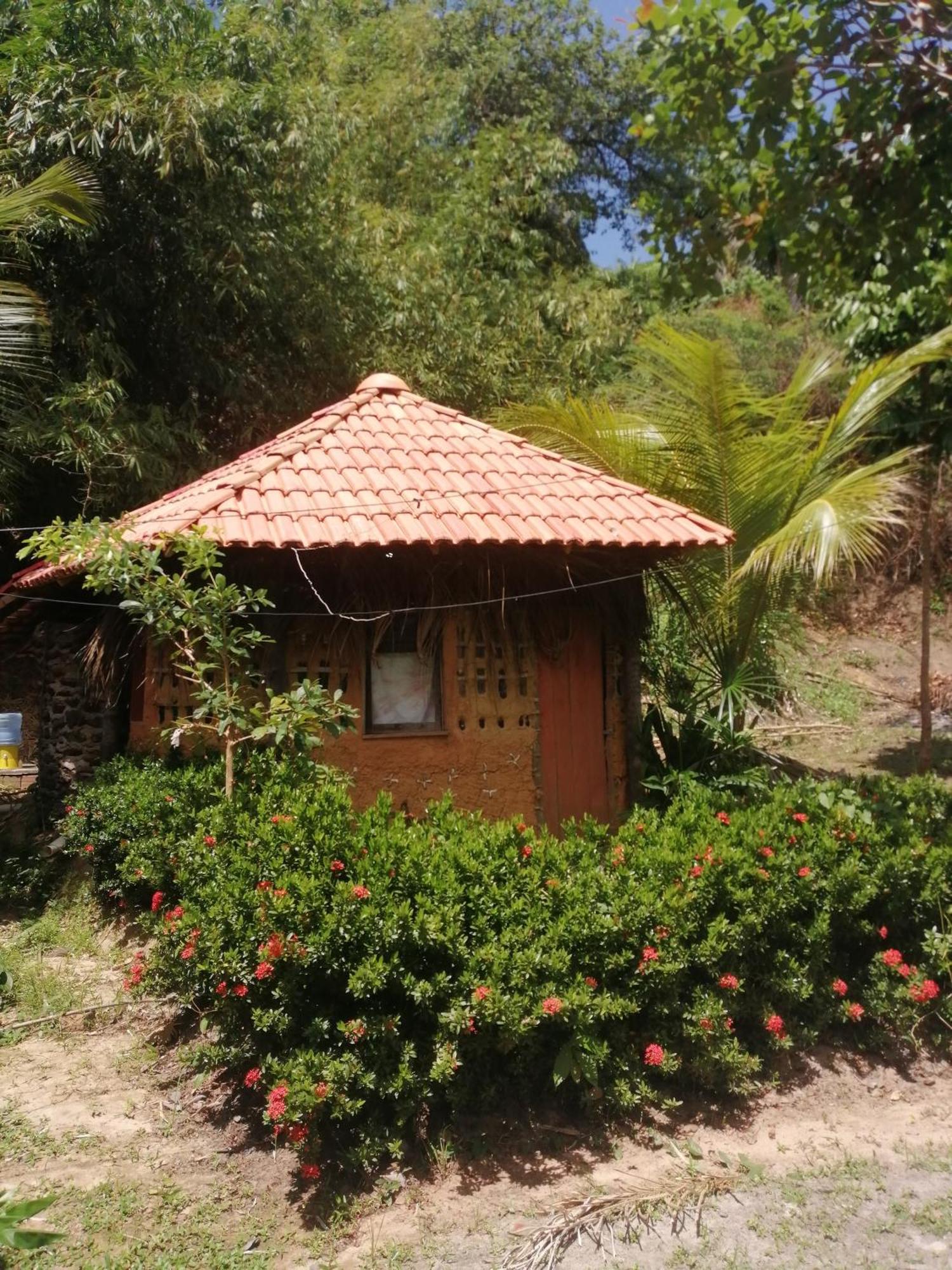 Ecopousada Casa Do Carimbo Fortalezinha Альгодоаль Экстерьер фото